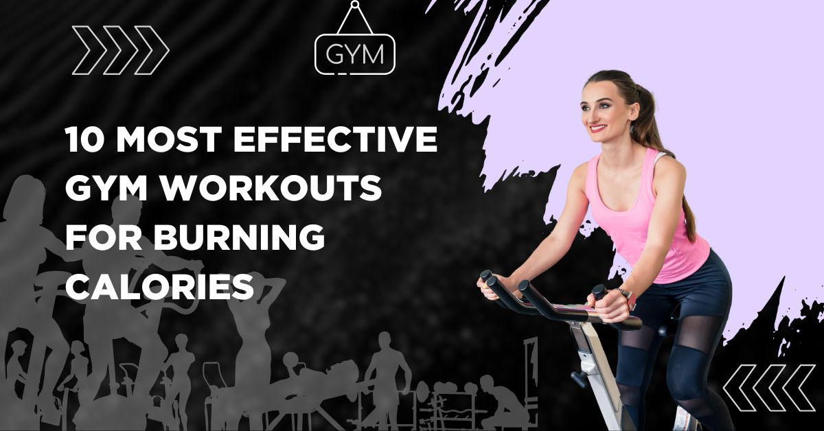 Find out which gym workouts burn the most calories and how to choose the right exercises for your fitness goals. Includes expert tips and workout comparisons.